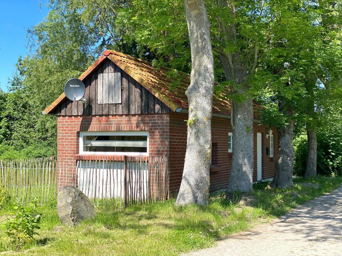 Hofgut Bisdamitz - Ferienhaus "Knoff" Экстерьер фото